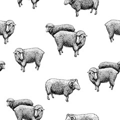 Naklejka premium Wzór z owiec