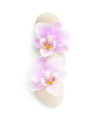 Two light pink orchids and stones  isolated on white background. Viewed from above.