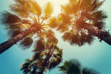 Fotobehang Palmboom Kokospalmen aan tropische kust met vintage getinte en filmstijl.