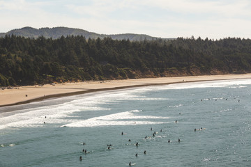 Surfing at the Beach and Rocky Coastline