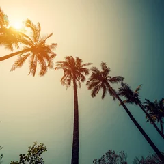 Papier Peint photo Autocollant Palmier Des cocotiers sur la côte tropicale avec des tons vintage et un style cinématographique.