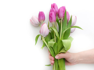 Spring background with purple tulips