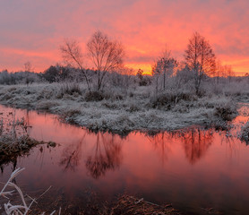 Fototapeta premium Frost