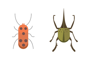 insects flat style vector design icons. Collection nature beetle and zoology cartoon illustration. Bug icon wildlife concept.
