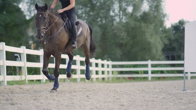 SLOW MOTION, DOF: Smiling female rider horseback riding beautiful dark brown stallion cantering on sandy outdoor manege at rose-pink light of dawn. Cheerful woman training with horse on riding arena