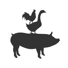 pig goose and rooster, vector illustration