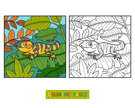 Coloring book, Xenosaurus