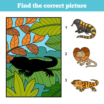 Find the correct picture. Xenosaurus and background