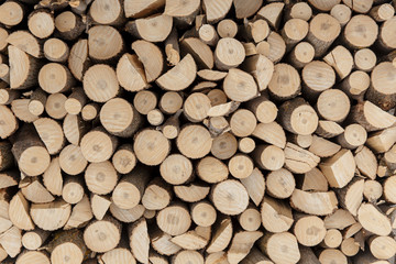 fresh firewood texture as easy nice background