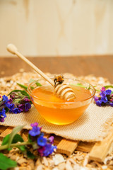 Honey, Honeycomb, Honey Bee.