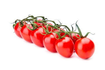 Branch of ripe cherry tomatoes over the white background