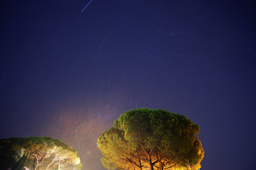 Startrials over the tree
