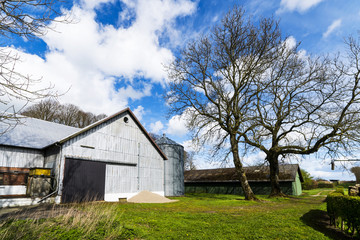 Fototapeta na wymiar Rural barnyard with a silo