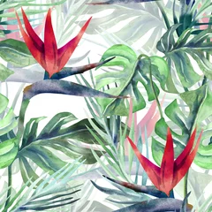 Papier Peint photo Lavable Paradis fleur tropicale Modèle Sans Couture De Plantes Exotiques. Fond d& 39 aquarelle avec des fleurs de Strelitzia.