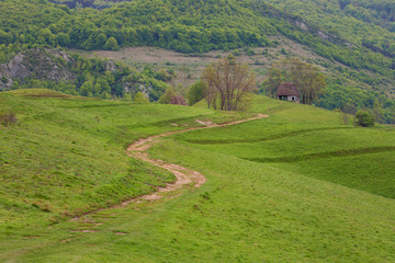 Fototapeta na wymiar Beautiful landscape in Apuseni, Romania