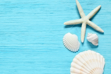 Fototapeta na wymiar Summer sea background - shells, star on a wooden blue background