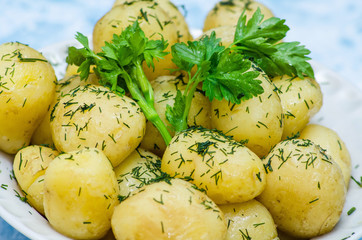 Dish with fresh potatoes and parsley