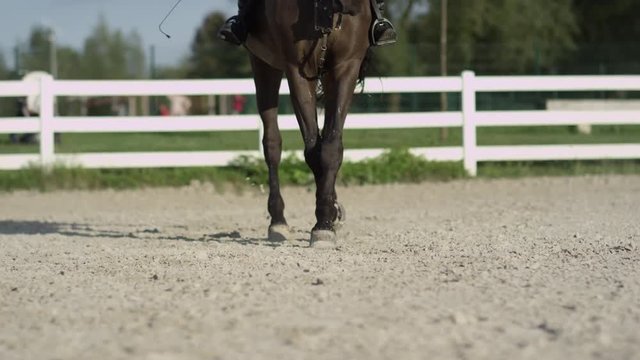 SLOW MOTION CLOSE UP DOF: Detail of horse legs working trot in big sandy outdoor riding arena. Female rider riding traver in dressage. Out of focus people sitting on bench watching stallion performing