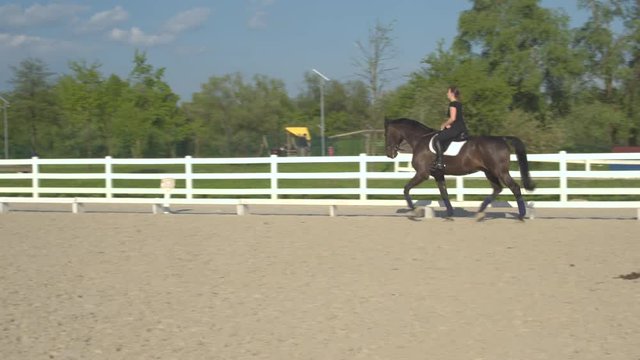 CLOSE UP: Side view of beautiful dark brown gelding trotting bravely in outdoor riding arena. Young woman horseback riding big stallion in sandy paddock on sunny summer day on countryside horse ranch