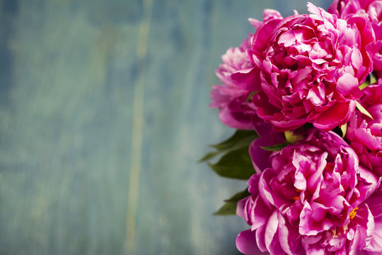 Fototapeta Peonies