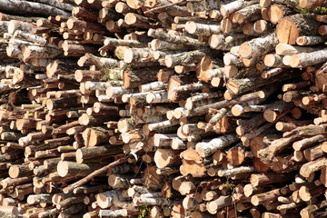 Wood. Firewood for the winter. Chopped drovav folded.