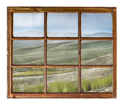 Fototapeta aspen grove in rain window view