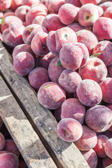  Peaches at Farmer's Market