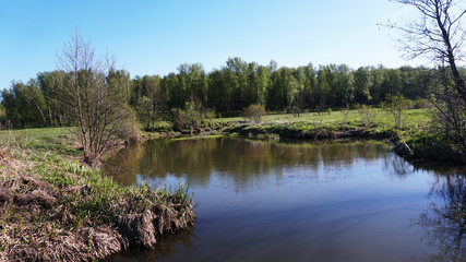 Fototapeta na wymiar River near the forest