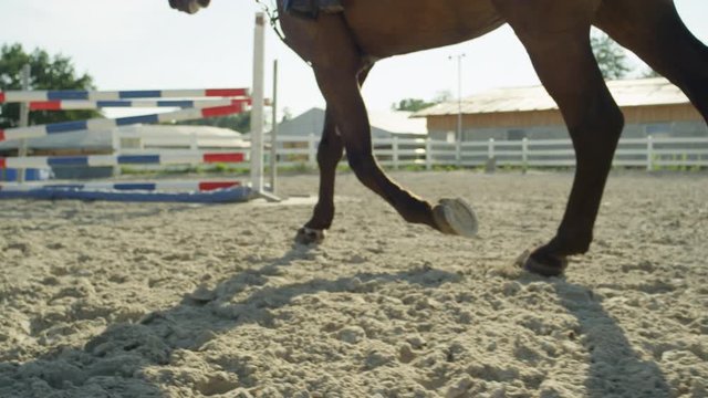 SLOW MOTION CLOSE UP DOF Detail of horse legs working trot in big sandy riding arena. Unrecognizable female rider horseback riding big stallion warming him up for jumping competition in outdoor manege