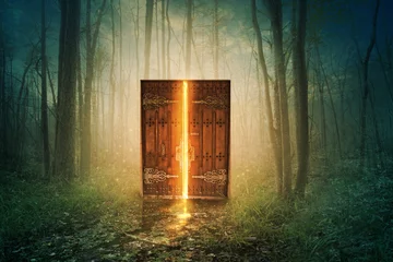 Fotobehang Oude deur Gloeiende deur in bos