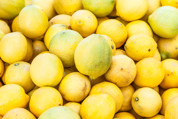  Lemons at Farmer's Market
