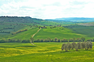 Obraz premium Landscape of tuscan countryside