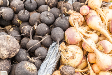 Turnips at Farmer's Market