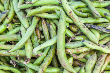  Beans at Farmer's Market