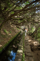 Tourist is walking along levada canal. Madeira island, Portugal