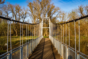 From suspension bridge to the forest