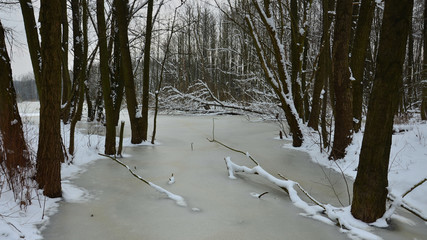 Zimowy potok © Marzena