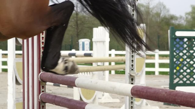 SLOW MOTION, CLOSE UP: Detail of horse legs show jumping over colorful poles in outdoor riding arena. Dark brown stallion exercising stadium jumping. Strong mare jumping over the poles in sandy manege