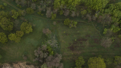 The photo of the forest was taken with a quadrocopter