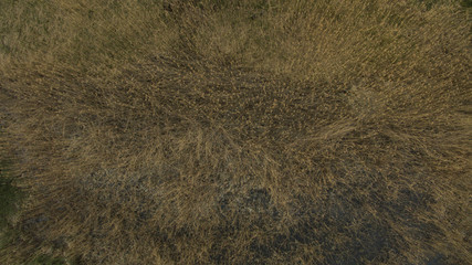 Beautiful landscape view from above