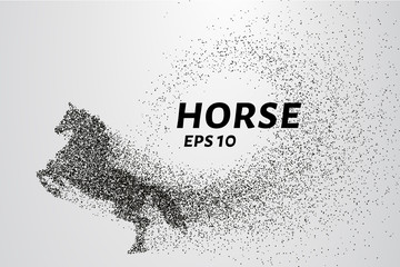 Horse of the particles. The horse consists of small circles and dots. Vector illustration.