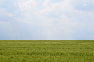 field