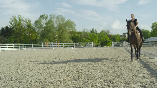 SLOW MOTION CLOSE UP: Beautiful dark brown gelding trotting in outdoor riding arena on sunny spring day. Female rider horseback riding stunning horse doing trot in sandy paddock at countryside ranch 