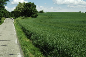 balade et randonnée dominicaine près des champs, mai  2017