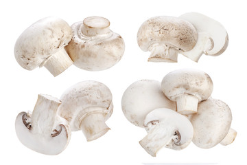 Mushroom champignon isolated on white background