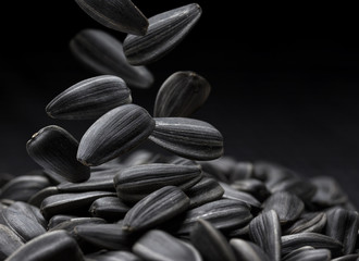 Black sunflower seeds close-up with copy space