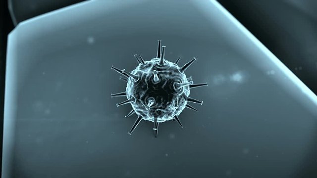 coronavirus penetrates the cell, virus attack the cells