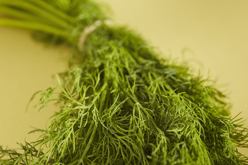 a bunch of fresh dill