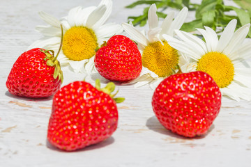 Red strawberries on a background with white daisies, macro