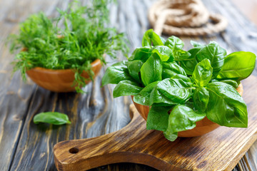 Fototapeta premium Wooden bowls with green basil and dill.